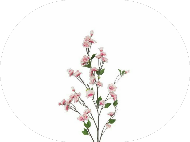 Foto de Dr. Amir M. Braga cirurgião dentista