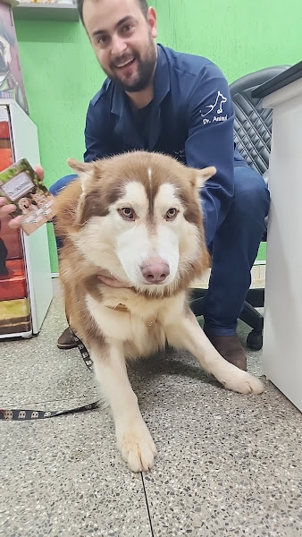 Foto 2 de Dr Animal Vicente Pires Rua 8 - Clínica Veterinária e Pet Shop