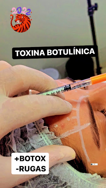 Foto 3 de Dr Apolinário Neto