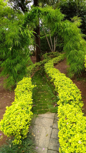 Foto 2 de Dr. Carlos Alberto de Pinho Tavares