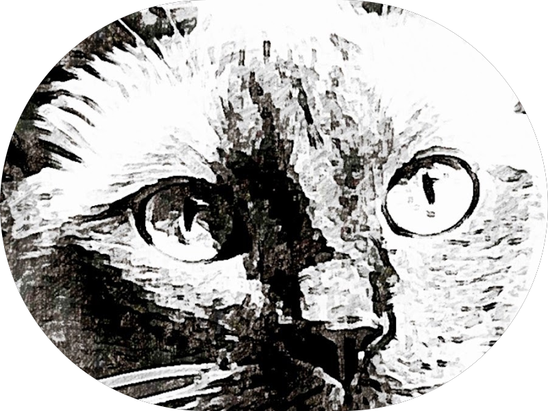 Foto 5 de Dr. Carlos Batanero - Odontologia