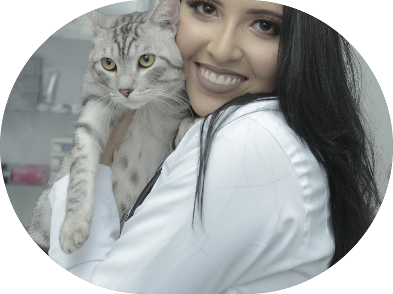 Foto 4 de Dr. Carlos Martins