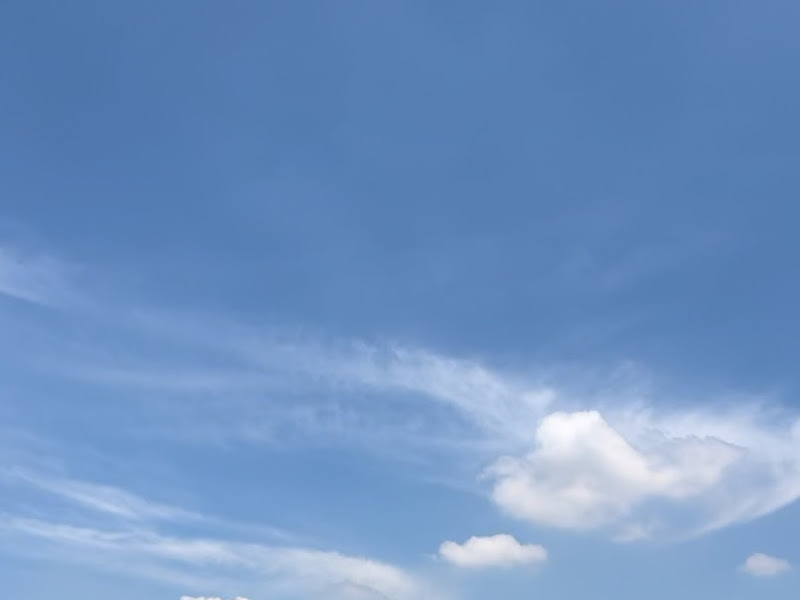 Foto de Drª. Carol Ellen Odontologia LTDA