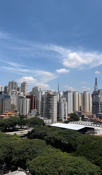 Foto 2 de Drª. Carol Ellen Odontologia LTDA