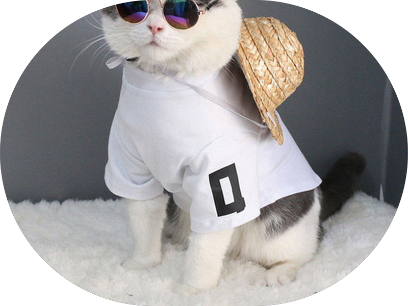 Foto 3 de Dr. Clécio Kopczynski Camargo Ortodontia e Ortopedia Facial