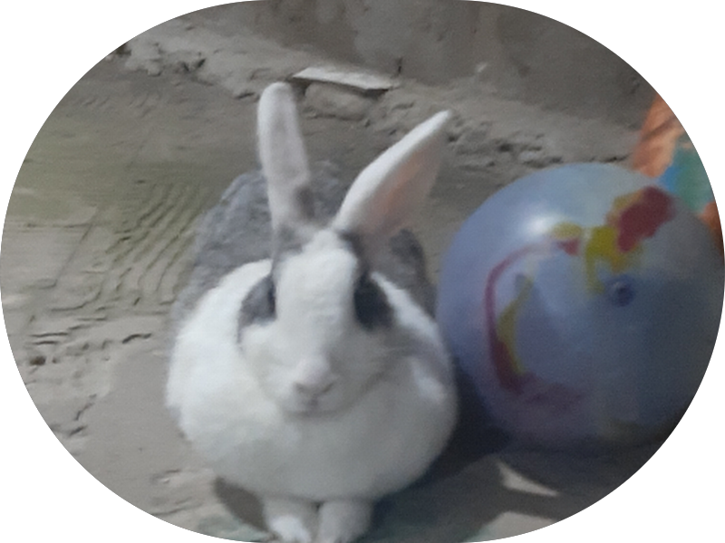 Foto 5 de Dr. do Sorriso Ananindeua - Clínica Odontológica