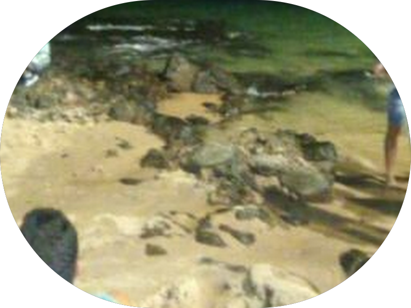 Foto 6 de Dr Erival Santana - Dentista 24 HS