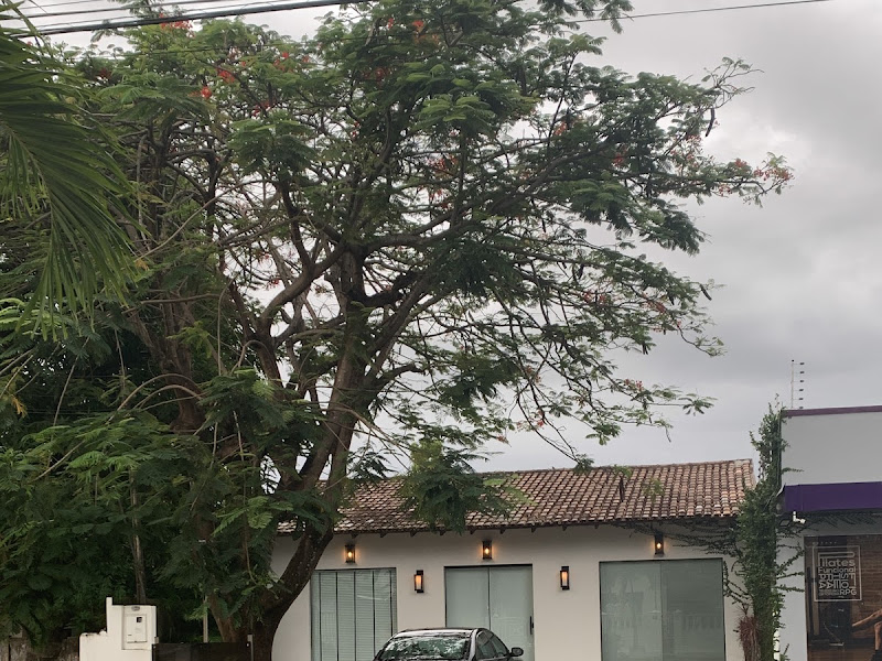 Foto 2 de Dr Felipe Negrão
