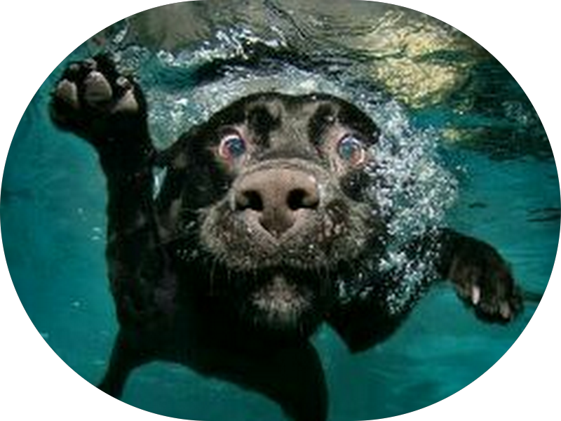 Foto 3 de Dr. Felipe Rodrigues Tavares - Cirurgião Dentista, Especialista em Implantes - CRO-MG 35.523