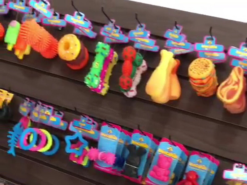 Foto 2 de Dr. Florival M. Neto Endondontia - Prótese Dra. Soraya Cruz Neves Odontopediatria