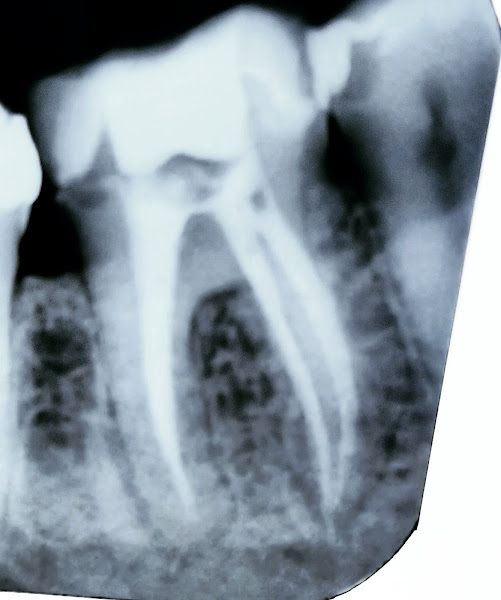 Foto 3 de Dr. GLEISSON R. A. MARQUES