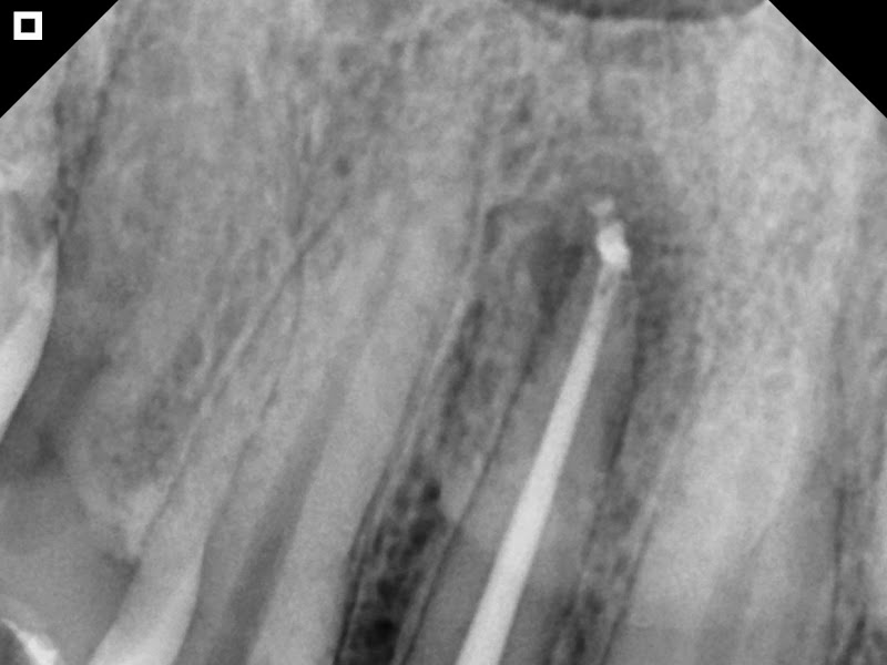 Foto de Dr Gustavo Tavares - Urgencia Odontologica em Sobral