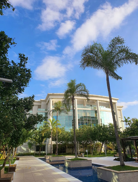 Foto 2 de Dr. Hary Wanzeller - Implantodontia e Cirurgia Oral