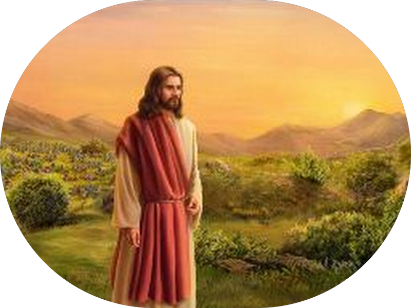 Foto 3 de Dr. Humberto Oliveira