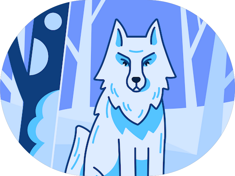 Foto 2 de Dr. João Basta Junior