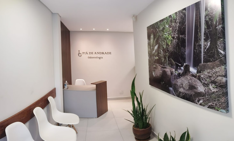 Foto 2 de Dr. João Guilherme Pia de Andrade