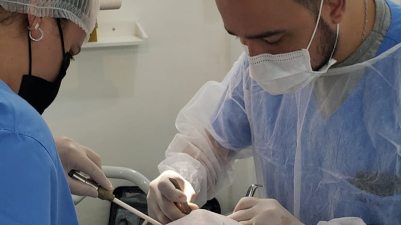 Foto 2 de Dr. João Paulo Vieira