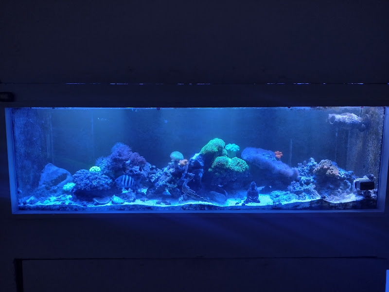 Foto 3 de Dr. Jorge Drovandi