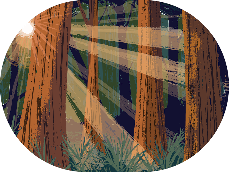 Foto 5 de Dr José Arimatéa