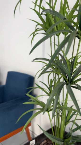 Foto 3 de Dr Leonardo Barreto - Facetas em Resina