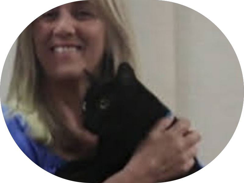 Foto 2 de DR. LUIZ FRANCISCO SILVA DELFINO