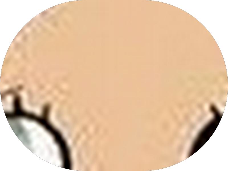 Foto 4 de Dr Maico Dutra