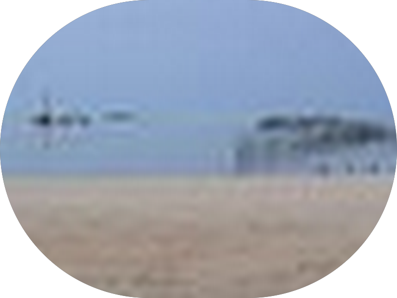 Foto 4 de Dr. Marcelo Pincelli - Dentista