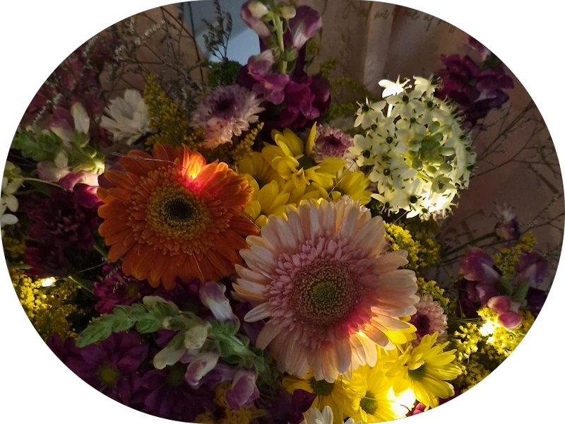 Foto 5 de Dr. Marcos Gumy - Odontologia Estética & Implantodontia