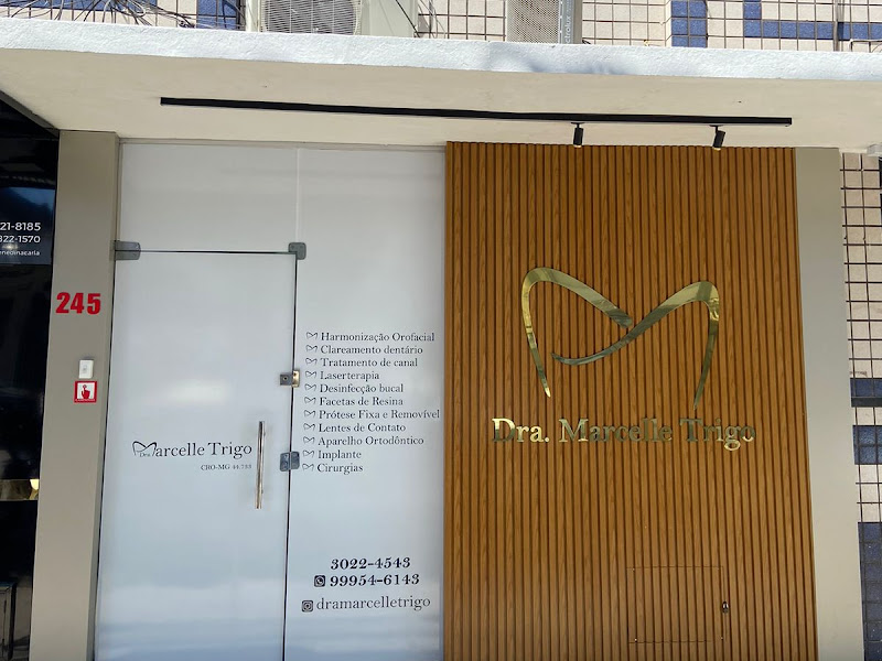 Foto 7 de Dr. Marcus Perpetuo | Dentista