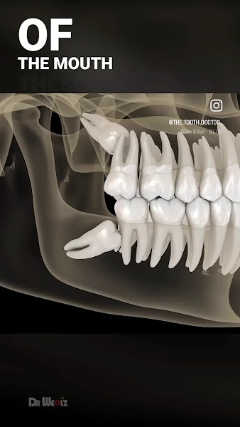 Foto 4 de Dr. Matusa - Consultório Odontológico