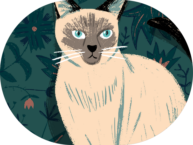 Foto 7 de Dr. Matusa - Consultório Odontológico