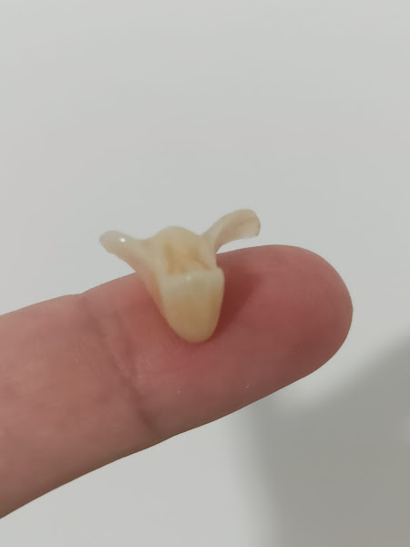 Foto 3 de Dr Michael - Dentista - São José dos Campos