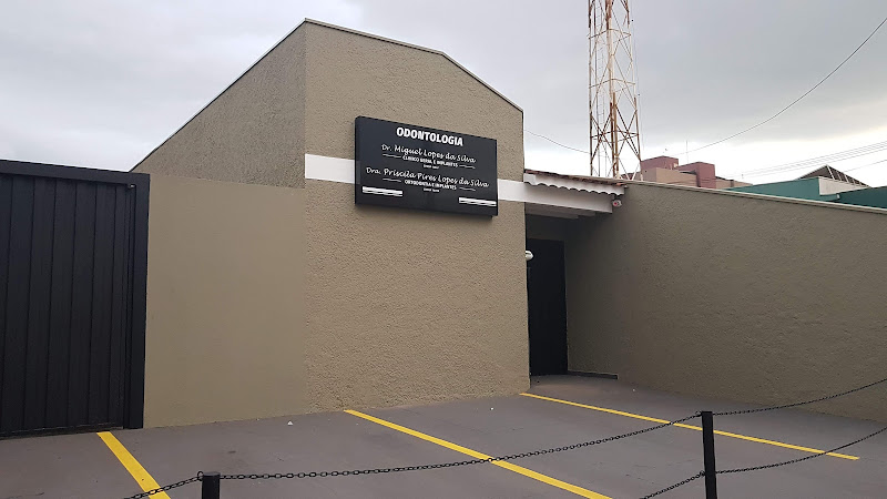 Foto 2 de Dr. Miguel Lopes da Silva e Filhos