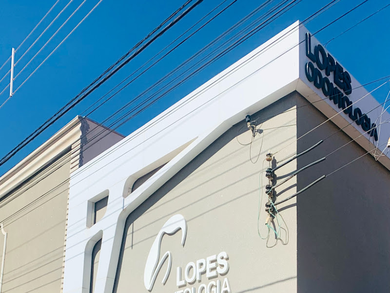 Foto 3 de Dr. Miguel Lopes da Silva e Filhos