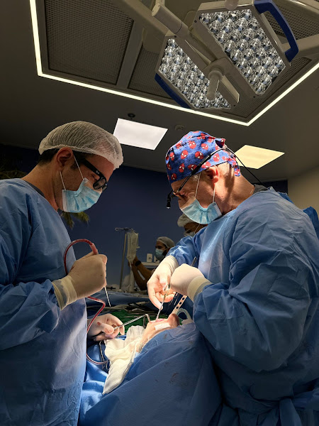 Foto 3 de Dr. Nilton Domingues - Bucomaxilofacial