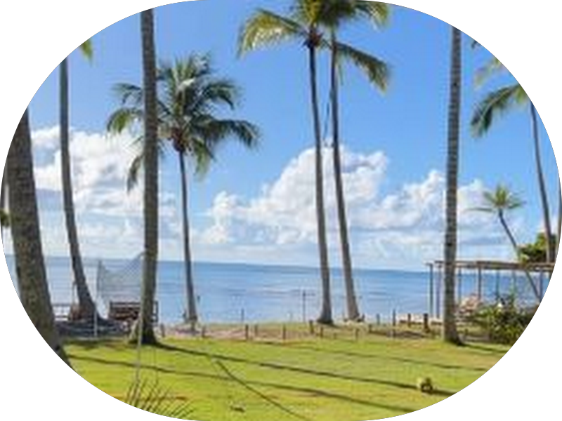 Foto 5 de Dr. Nilton Domingues - Bucomaxilofacial