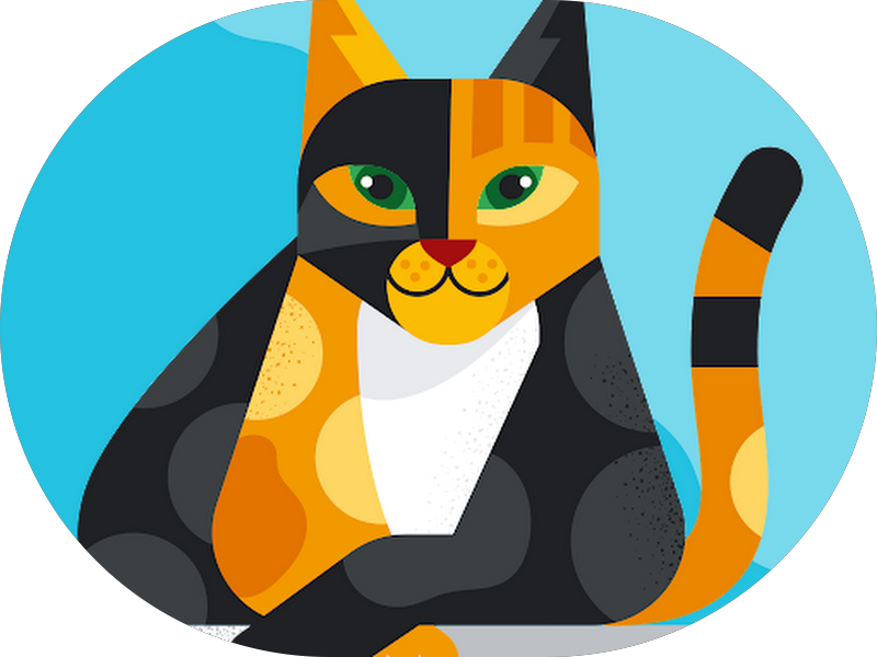 Foto 6 de Dr. Paulo Camurça. Tratamento de Canal - Laser PDT, Implante, Prótese e Estética. Dentista Barra do Ceará, Fortaleza - CE