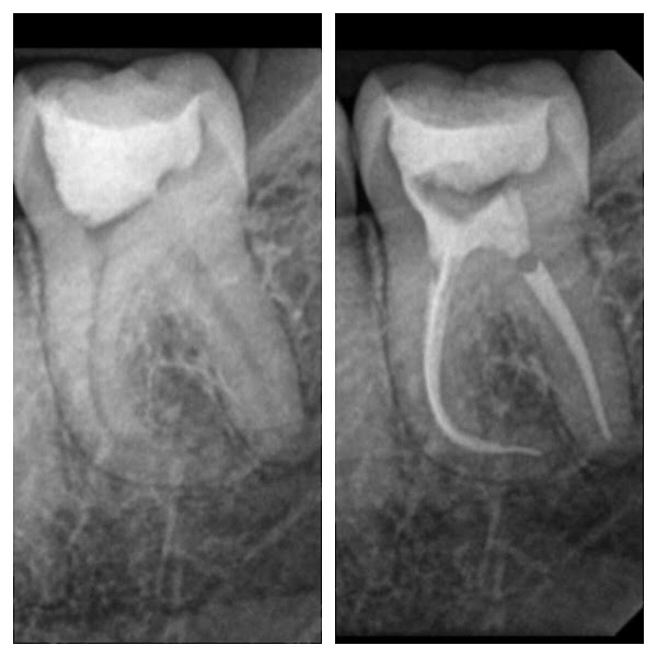 Foto 3 de Dr Pedro Sodré