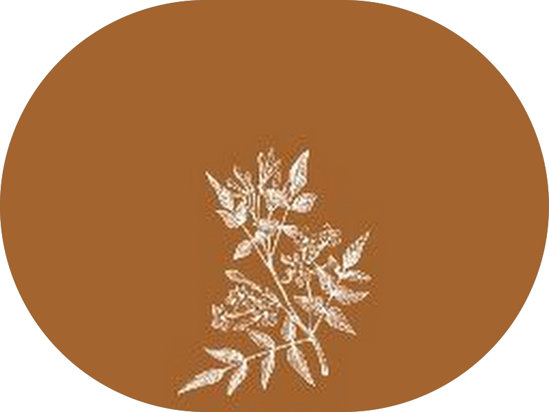 Foto 4 de Dr. Pitta Odontologia - Emergência 24hrs