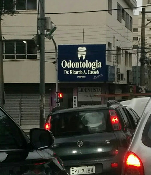 Foto 2 de Dr. Ricardo Abdalla Casseb - dentista