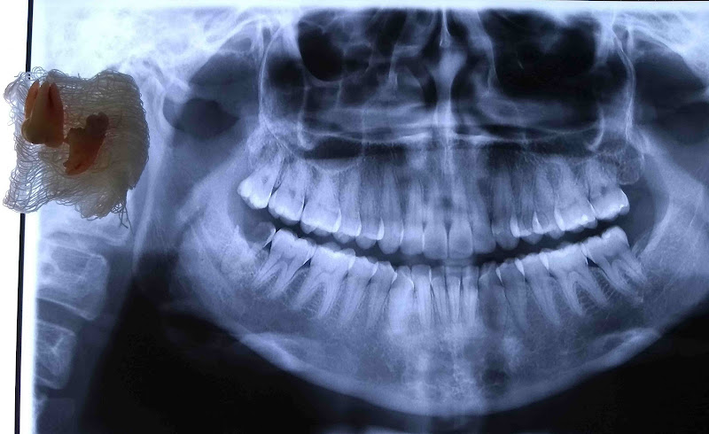 Foto 2 de Dr. Rodrigo Bormio e Dra. Verena Vieira