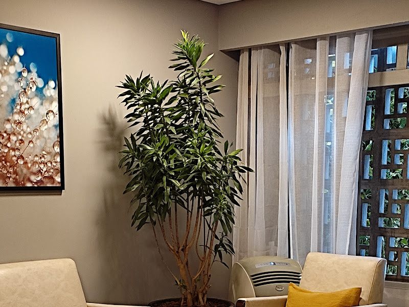 Foto 4 de Dr. Saddi - Atendimento 24 h