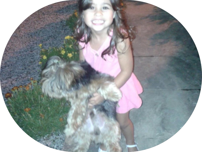 Foto 5 de Dr. Sady Bramatti- Dentista centro Florianópolis