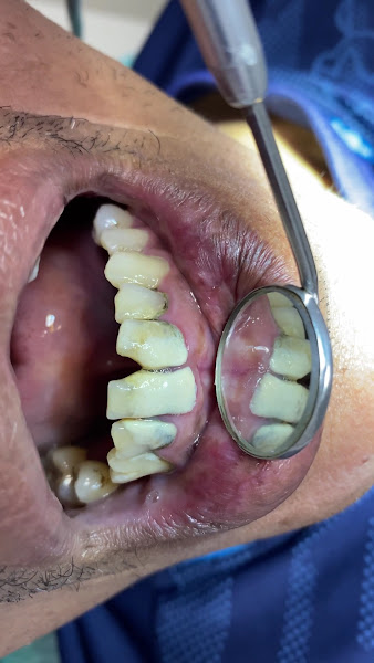 Foto 2 de Drª Támyta Cavalcante