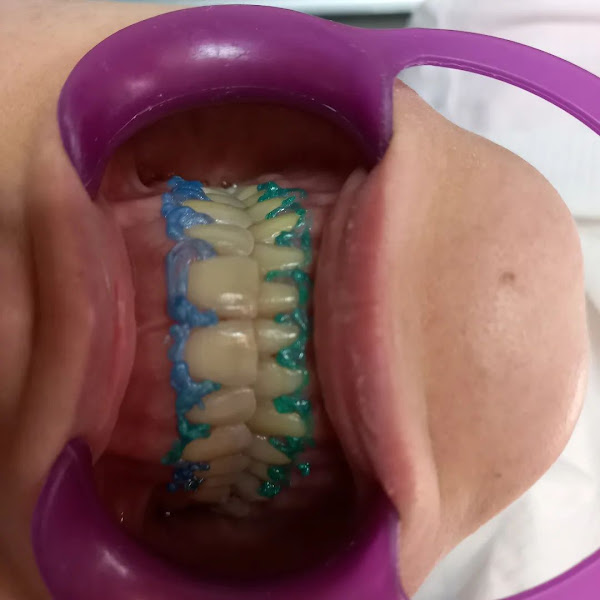 Foto 3 de Dr. Vera Schon