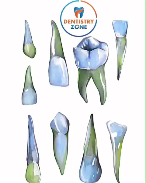 Foto 4 de Dr Vinicius Freitas