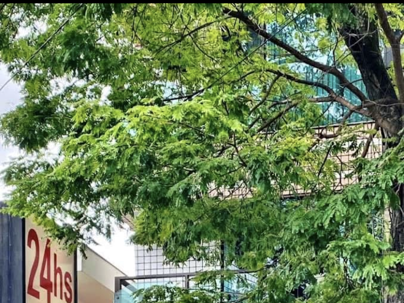 Foto 9 de Dr Walter Neto - Dentista 24 Horas e Urgência Odontológico(Somente Particular)