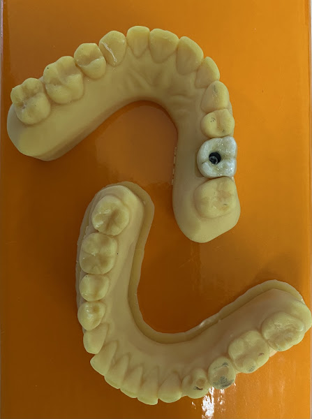 Foto 3 de Dra. Adriana M.B.Brandão