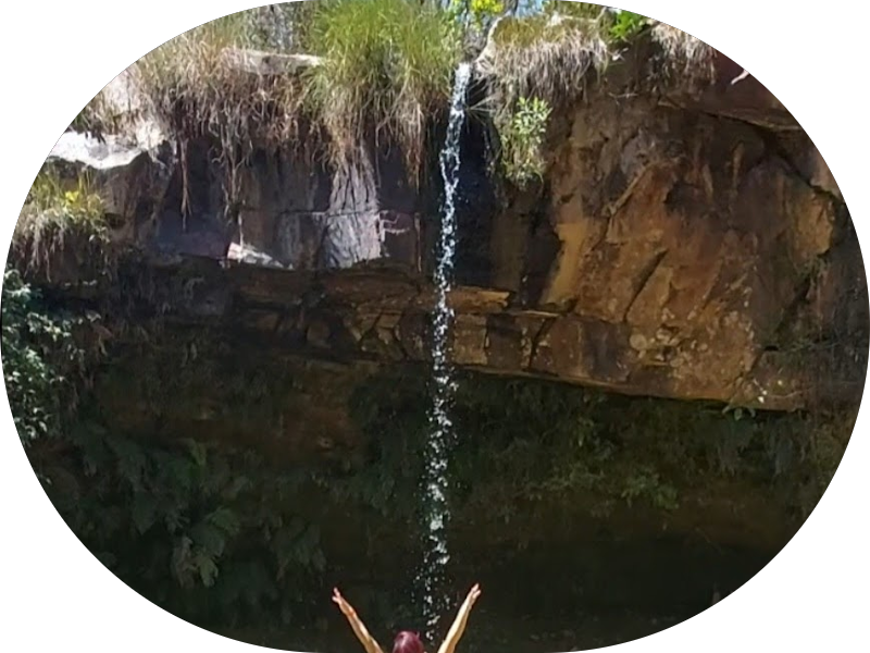 Foto 3 de Dra Adriana Ueno - Dentista