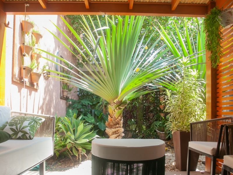 Foto 10 de Dra Ale Martins - Dentista em Barão Geraldo Campinas